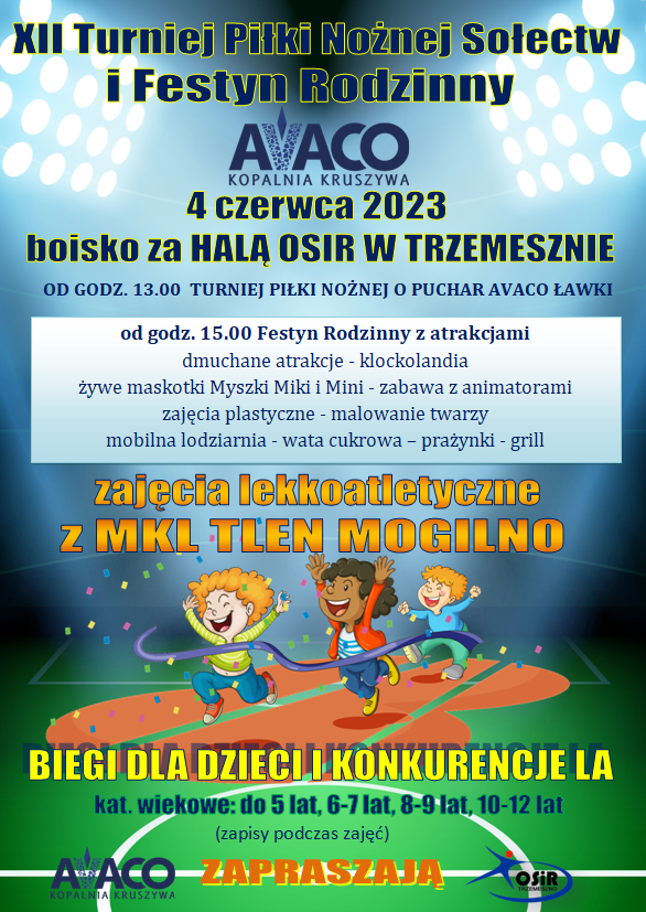 XII Turniej Piłki Nożnej Sołectw oraz Festyn Rodzinny AVACO @ BOISKA PRZY HALI OSIR